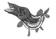 Grafika Natalii Paw z cyklu Ilustracje rybne